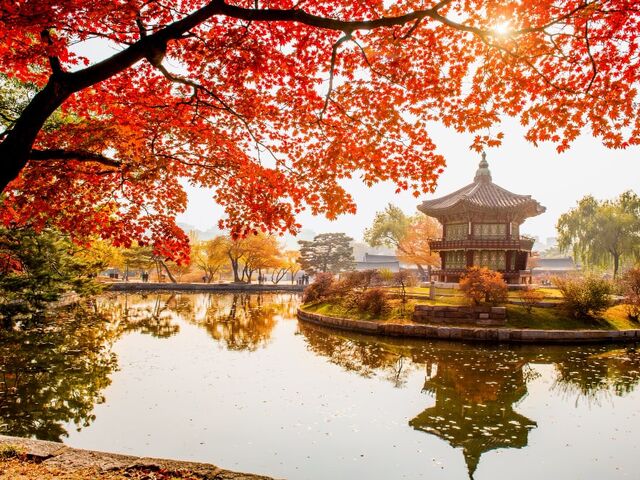 Koyo Zamanı Elegant Japonya & Güney Kore Turu Qatar Hava Yolları İle 9 Gece (Ekstra Turlar Dahil) 