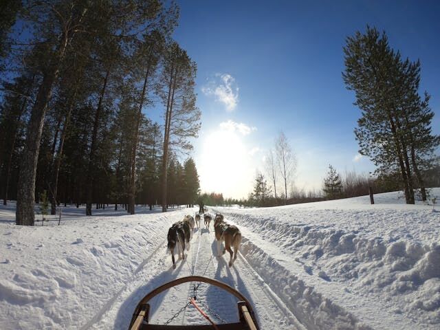 Dolu Dolu Lapland Turu Beyaz Rotalar (3 Gece)